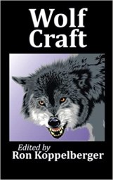 51T11cIjMGL._SX311_BO1,204,203,200_